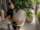 Removalist carrying monstera plant in moving van