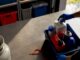 Household items sorted before a move