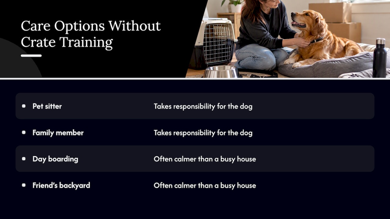 Four care options for dogs on moving day