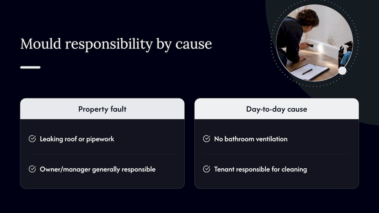 Mould causes compared with tenant and owner responsibilities