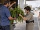 Biosecurity officer inspecting a hanging fern at checkpoint