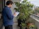 Homeowner recording plants before a move